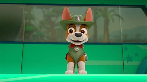 Paw Patrol Characters Tracker Images