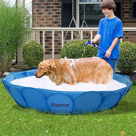 11 Best Dog Pool Options For Your Pup 2021 Reviews All Pets Life