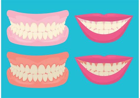 Teeth And Gums Smiling Download Free Vector Art Stock Graphics And Images