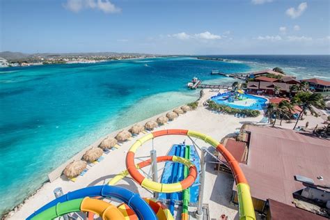 Playground In Paradise Fun And Flamingos On De Palm Island Aruba