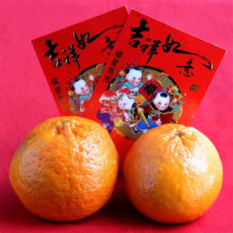 Chinese New Year Traditions and the Year of the Dragon - Jeanette's