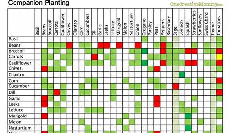 companion planting guide chart