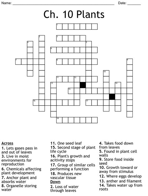 Plant Stem Crossword Clue