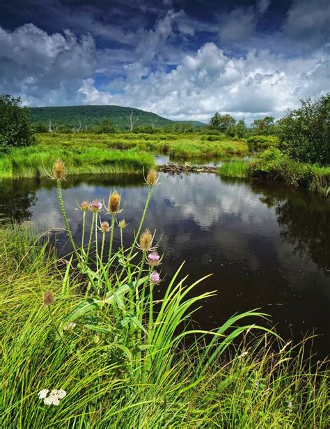 Discover West Virginia Back To The Blackwater River Trail Canaan Valley