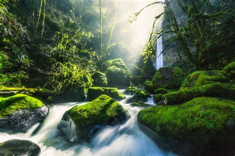 This Easy Hidden Waterfall Hike In Oregon Is Absolutely