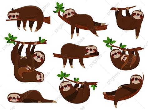 만화 나무늘보 가족 나무늘보 동물 열렬한 그림 좋은 Png 일러스트 및 벡터 에 대한 무료 다운로드 Pngtree