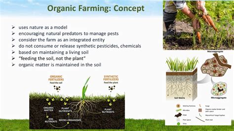 Organic Farming Definition History Concept Need Conventional Vs