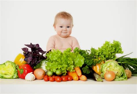 Ini kerana dalam usia 8 bulan itu, si kecil sudah boleh merasa tekstur makanan meskipun belum tumbuh gigi. Resep Makanan Pendaping ASI untuk Bayi Umur 6 Bulan Lebih