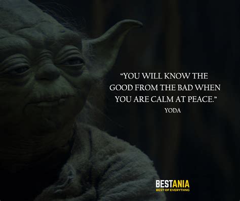 And if you have not come across his this facet of personality till now, you may want to give these quotes a read, quotes that are. Wisdom quotes from yoda
