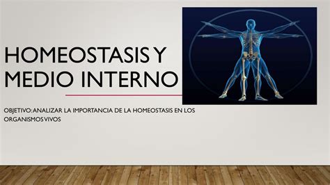 Homeostasis Y Medio Interno 1 1 1 Homeostasis Organismo Vivo Udocz