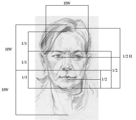 Facial Proportions W Dibujos De Caras Dibujos Retratos Y Cómo