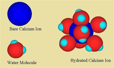 Chemistry And The Aquarium Calcium