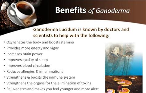 Ganoderma Lucidum Mushroom Coffee Health Benefits