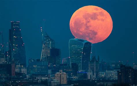 We did not find results for: Rare glimpse of super blue blood moon seen around the world, in pictures - News