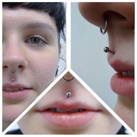 Fresh Philtrum Piercing Philtrum Piercing Lip Piercing Septum Nose