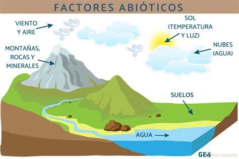 Los Ecosistemas Factores Bióticos Y Abióticos