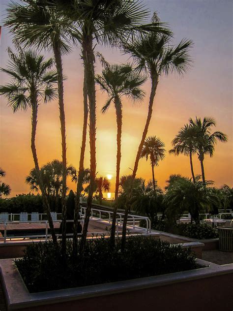 Sunset In The Palms Photograph By David Choate