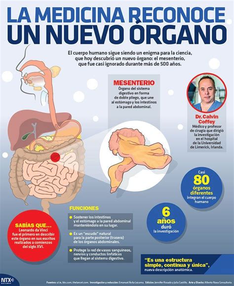 Infografíanotimex Hashtag On Twitter Enfermedades Del Cuerpo Humano Cosas De Enfermeria