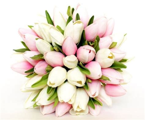 Bouquet De Tulipanes En Rosa Y Blanco White Tulip Bouquet Wedding