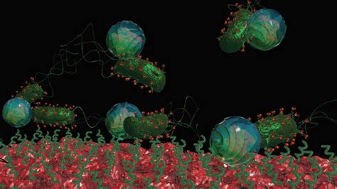 Bacteria Driven Drug Delivery Carriers A Paradigm Shift Physical