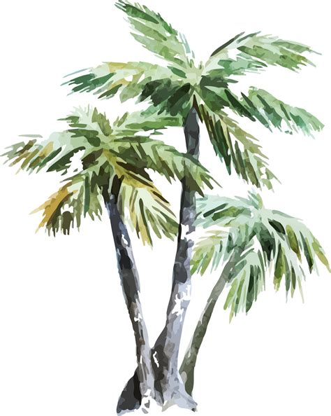 Watercolor Palm Tree Illustration Vector Art At Vecteezy