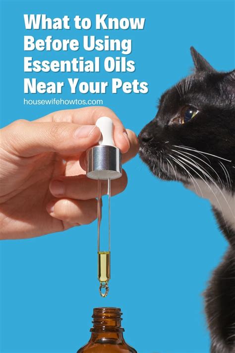 The Pet Owners Guide To Safely Using Essential Oils For Cleaning