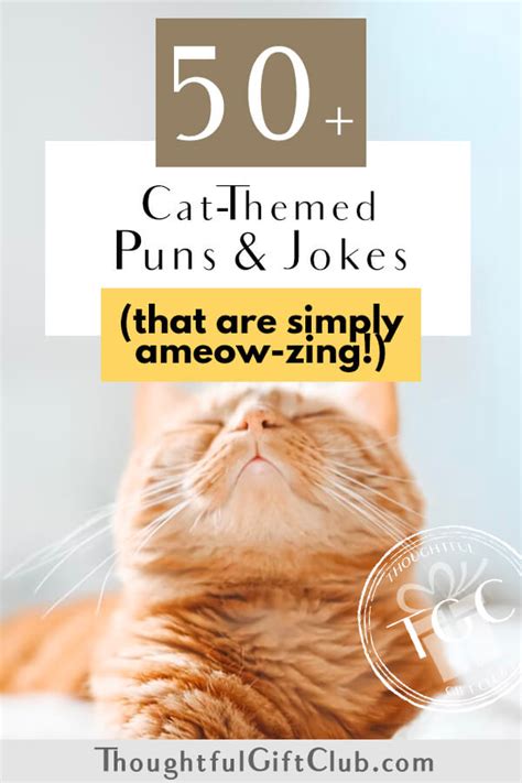 50 Cat Puns Jokes For Instagram Captions That Are Ameowzing