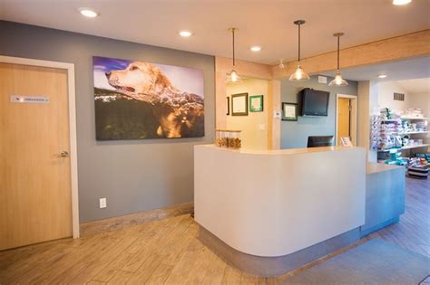 Caring for your pet at our vet hospital in huntington or with our mobile vet in long island. 518 best Building a Vet Practice - Reception images on ...