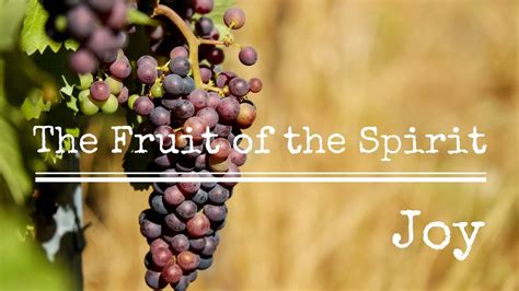 The Fruit Of The Spirit Joy 2 Of 9 Youtube