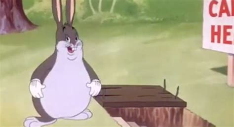 Big chungus meme compilation big chungus is now in tik tok, like and subscribe tags: The Big Chungus meme: What does it mean? Where did it come from?
