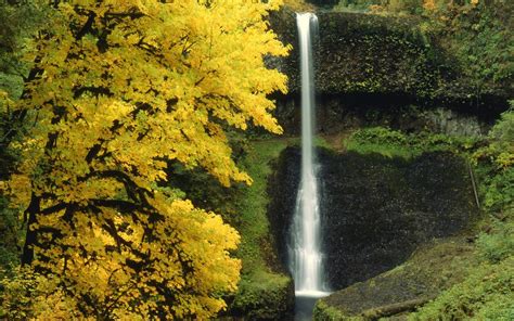2560x1600 Resolution Waterfall Autumn River 2560x1600 Resolution