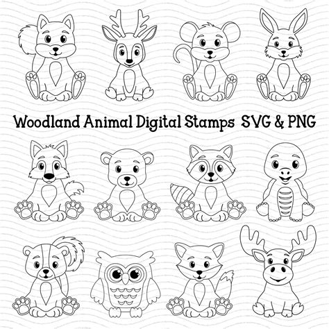 Forest Coloring Pages Zoo Coloring Pages Woodland Animals Theme
