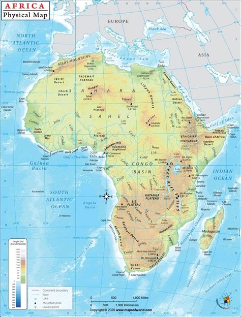 The presence of several desert oases here made trade possible between the ports of north african and the southern. North America Physical Map Worksheet Africa Physical Map in 2020 | Physical map, Africa map, Map ...