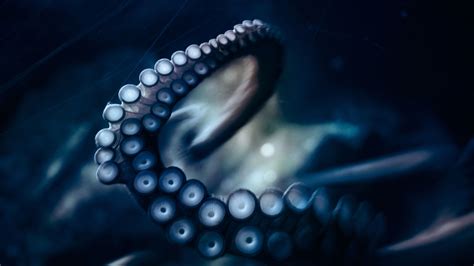 Blue Tentacles Wallpaper Octopus Photography Octopus Tattoo Design