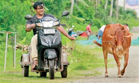 തളരാത്ത മനസ്സുമായി ജോൺസൺ വിധിയോട് പോരാടുകയാണ് Madhyamam Kudumbam