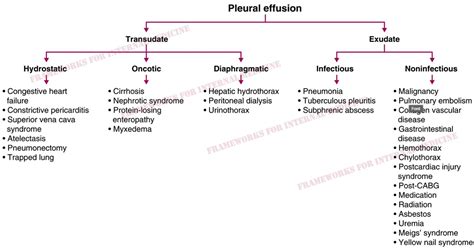 Causes Of Pleural Effusion Differential Diagnosis Grepmed