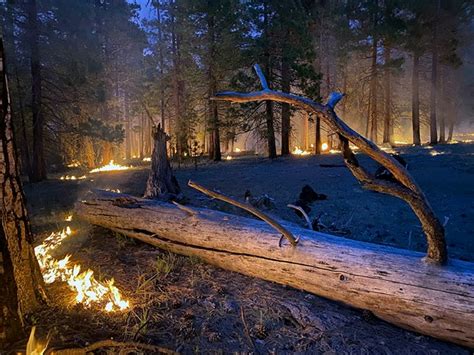 Prescribed Burning In Yosemite Valley Has Multiple Benefits Us