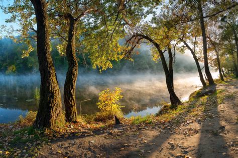 Sunrise Leaves River Mist Morning Forest Path Water