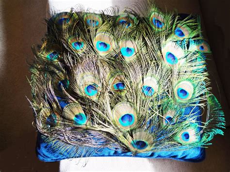 When feather pillows are made, the material is taken from the back of the animal and the wings. Peacock Feather Pillow | Peacock feather pillow, Peacock ...