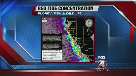 Red Tide Levels Rise In Southwest Florida Fox 4 Now Wftx Fort Myers