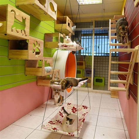 11 Awesome Diy Cat Furniture Ideas Cat Room Cat Climbing Wall
