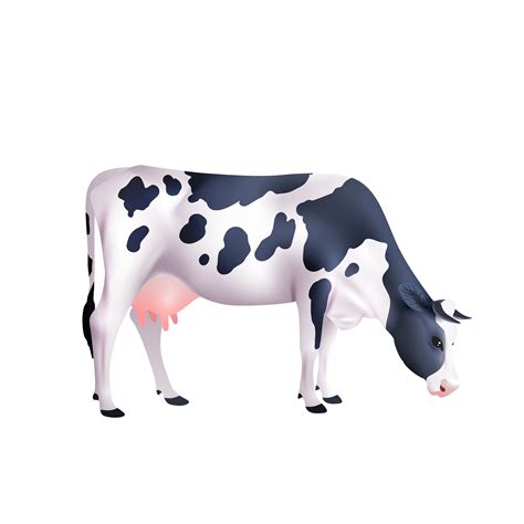 Cow Realistic Illustration 468340 Vector Art At Vecteezy