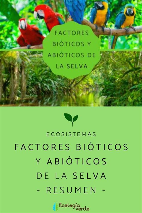 Factores Bióticos Y Abióticos De La Selva Resumen Factores Bioticos