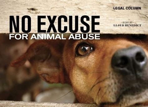 Petition · Texas Governor Help Stop Animal Abuse ·
