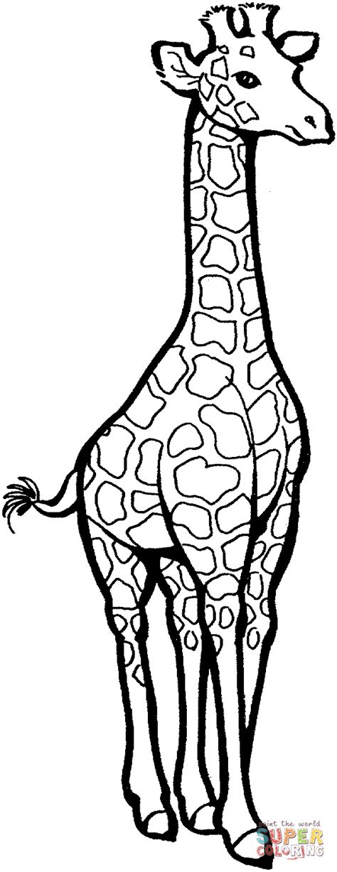 Giraffe 5 Super Coloring Giraffe Coloring Pages Giraffe Colors