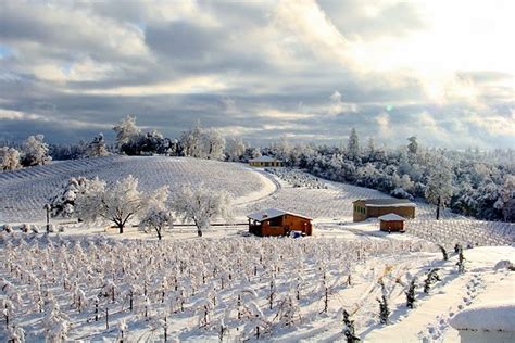 Las 10 Regiones Vinícolas Más Frías Del Mundo Area Del Vino