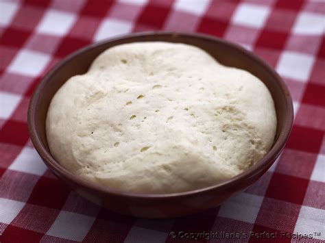 Fresh yeast should be wrapped up in parchment paper and stored in an airtight container in the fridge. Mother Yeast - Ilaria's Perfect Recipes