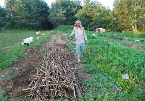 Create A Stunning Permaculture Garden Country Green Living