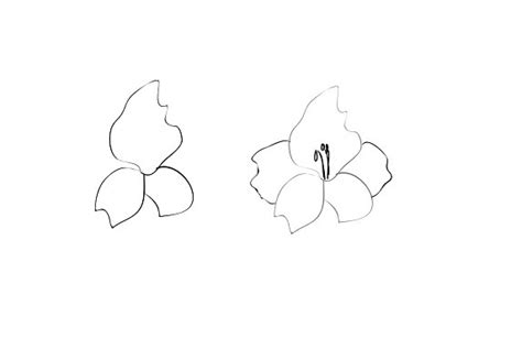 Kako Nacrtati Cvet U Etapama