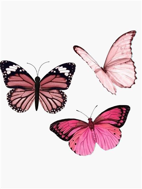 Pink Butterfly Aesthetic Stickers For Sale Butterfly Art Print